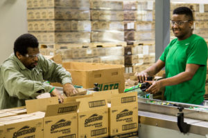 Employees work together on production line.