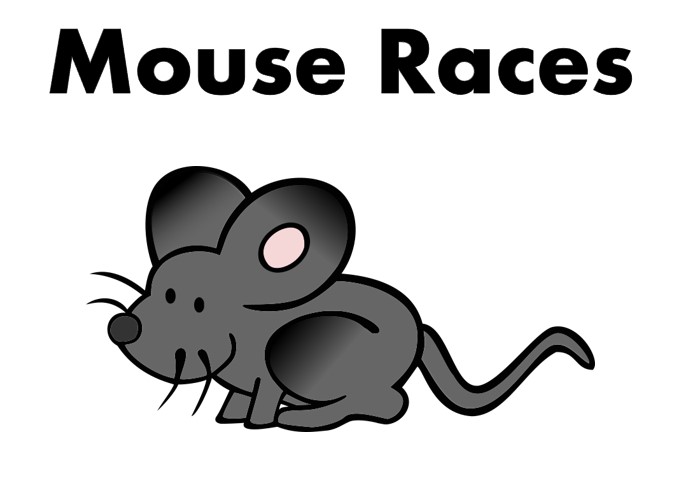 Mouse Races